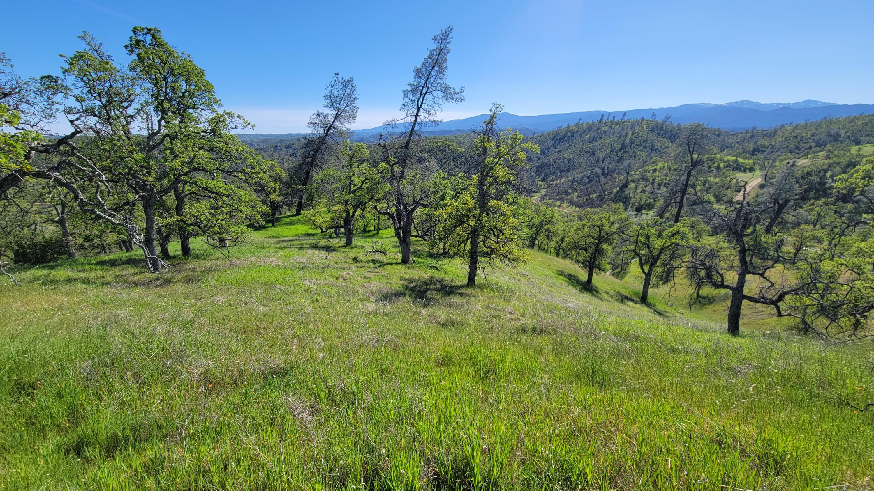 Lot 207 Fiddlers Road Igo, CA 96047 - Photo 12 of 26 a view of a city with lush green forest