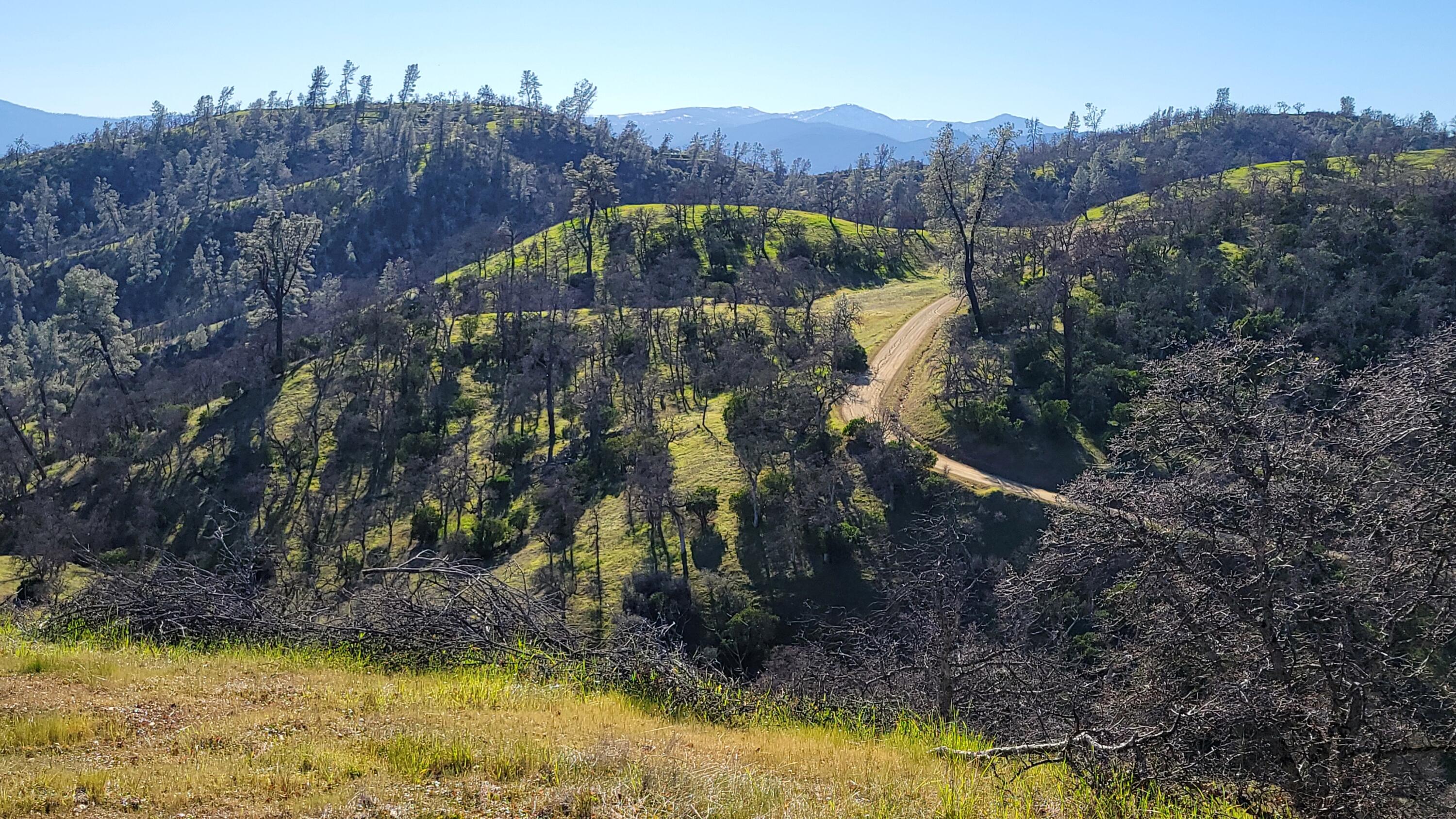 Lot 207 Fiddlers Road Igo, CA 96047 - Photo 14 of 23 20260204_142136
