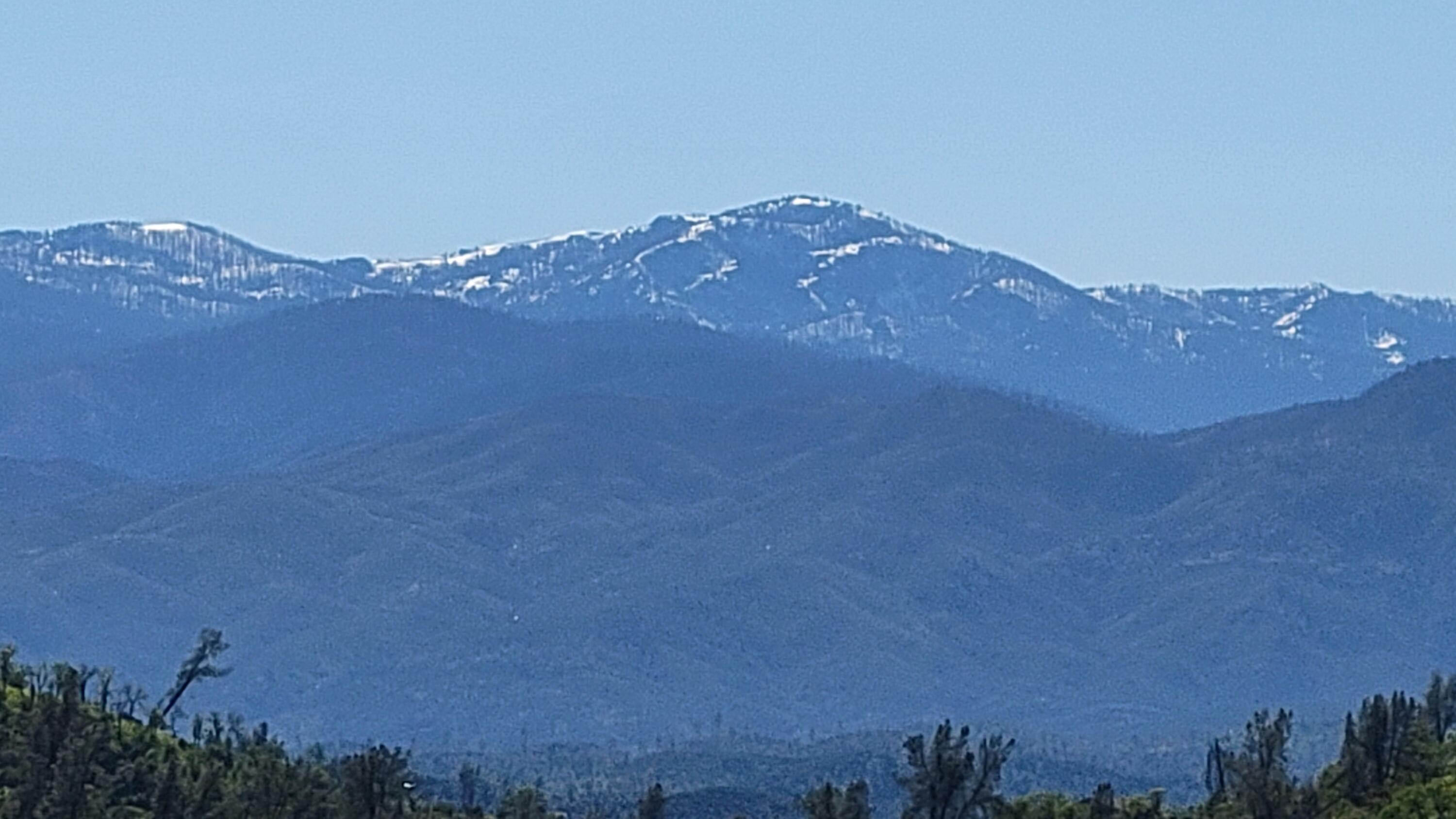 Lot 207 Fiddlers Road Igo, CA 96047 - Photo 14 of 26 a view of a big yard with a mountain in the background