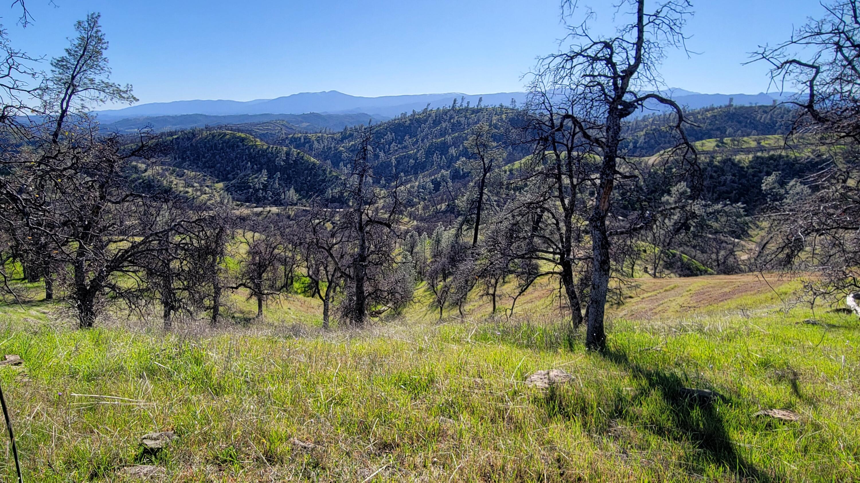 Lot 207 Fiddlers Road Igo, CA 96047 - Photo 16 of 23 20260204_142732