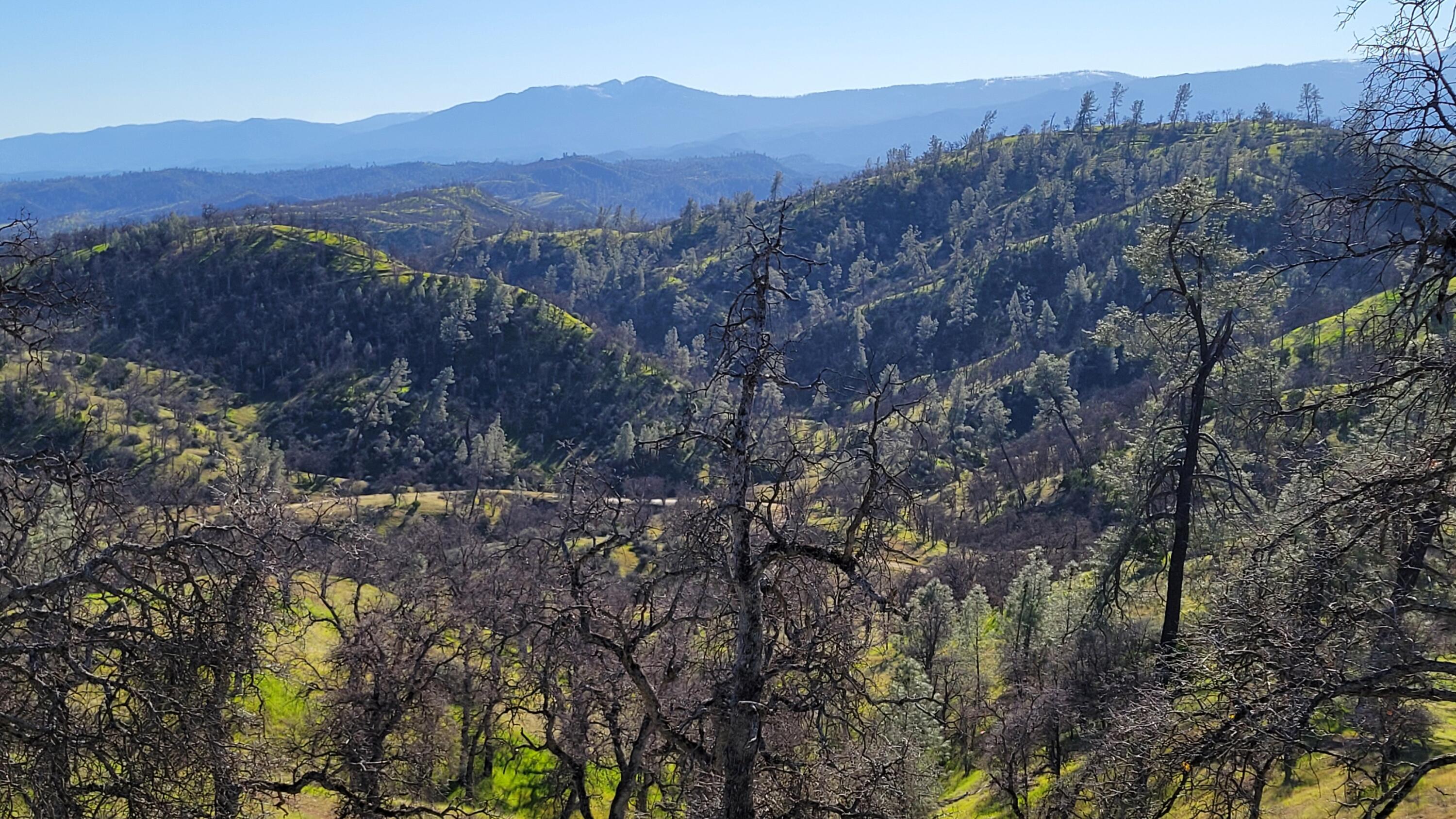 Lot 207 Fiddlers Road Igo, CA 96047 - Photo 17 of 23 20260204_142806