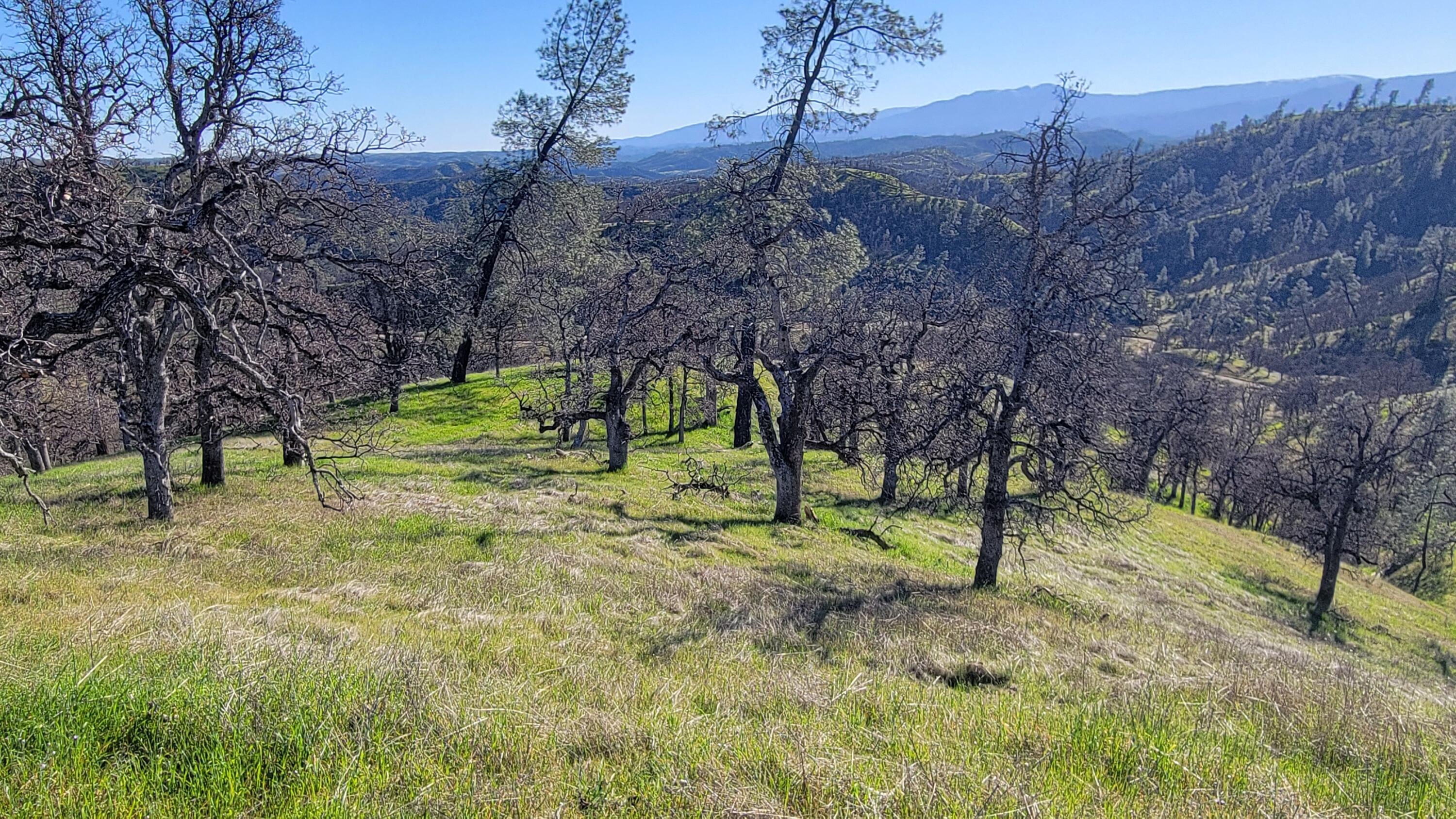 Lot 207 Fiddlers Road Igo, CA 96047 - Photo 18 of 23 20260204_143116