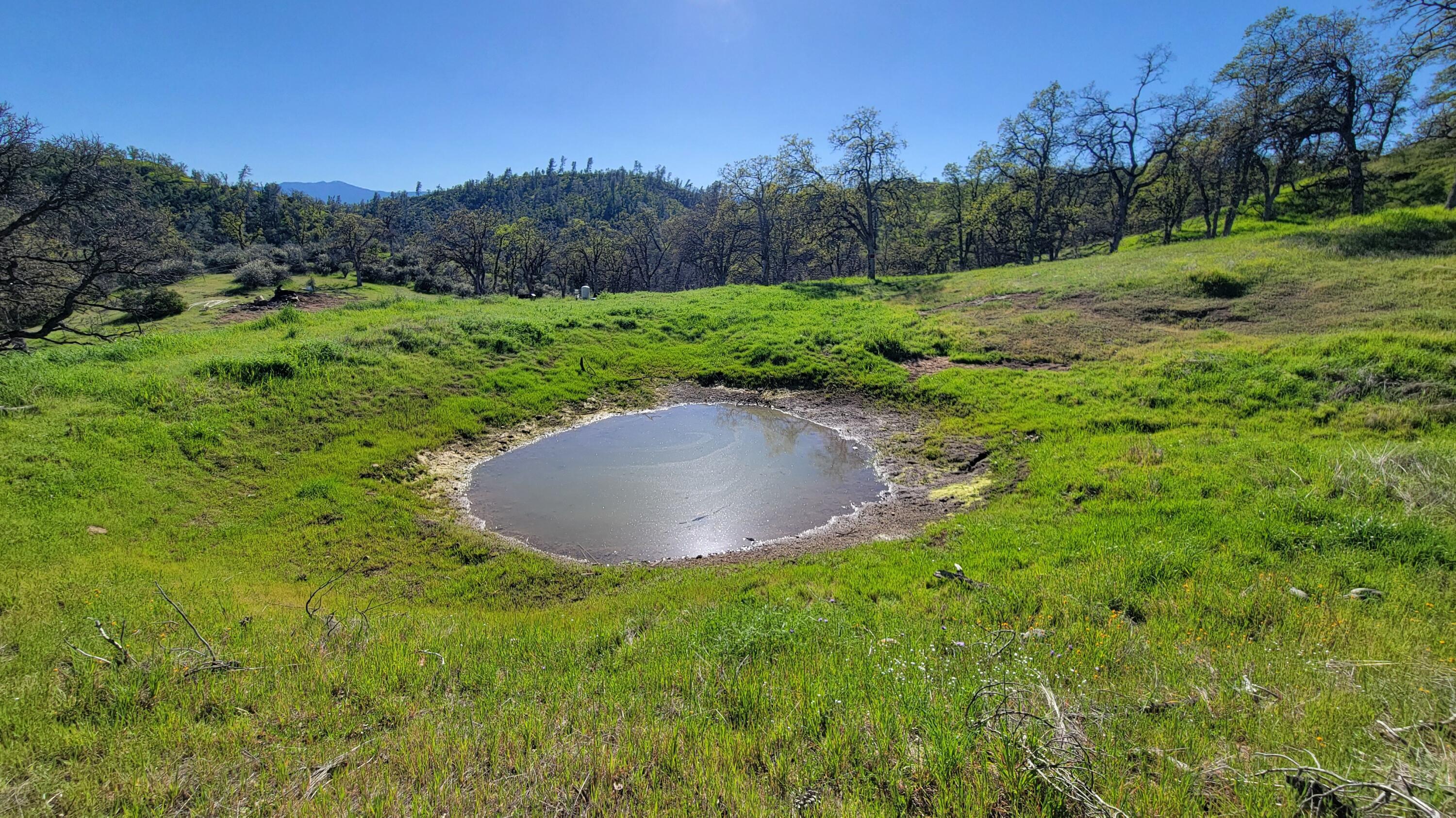Lot 207 Fiddlers Road Igo, CA 96047 - Photo 18 of 26 a view of outdoor space and yard