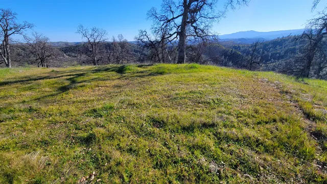 a view of backyard with green space