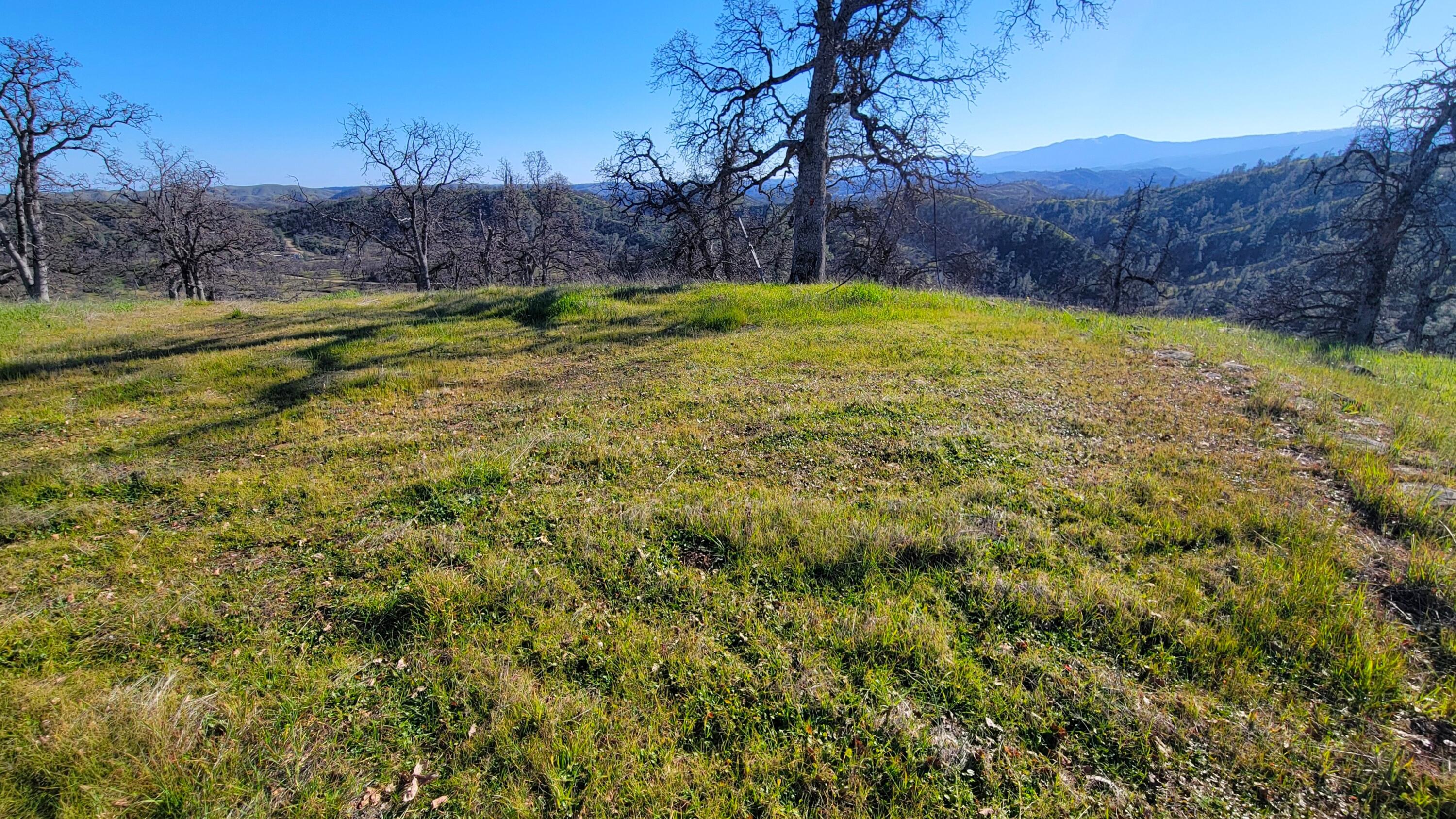 Lot 207 Fiddlers Road Igo, CA 96047 - Photo 2 of 23 1
