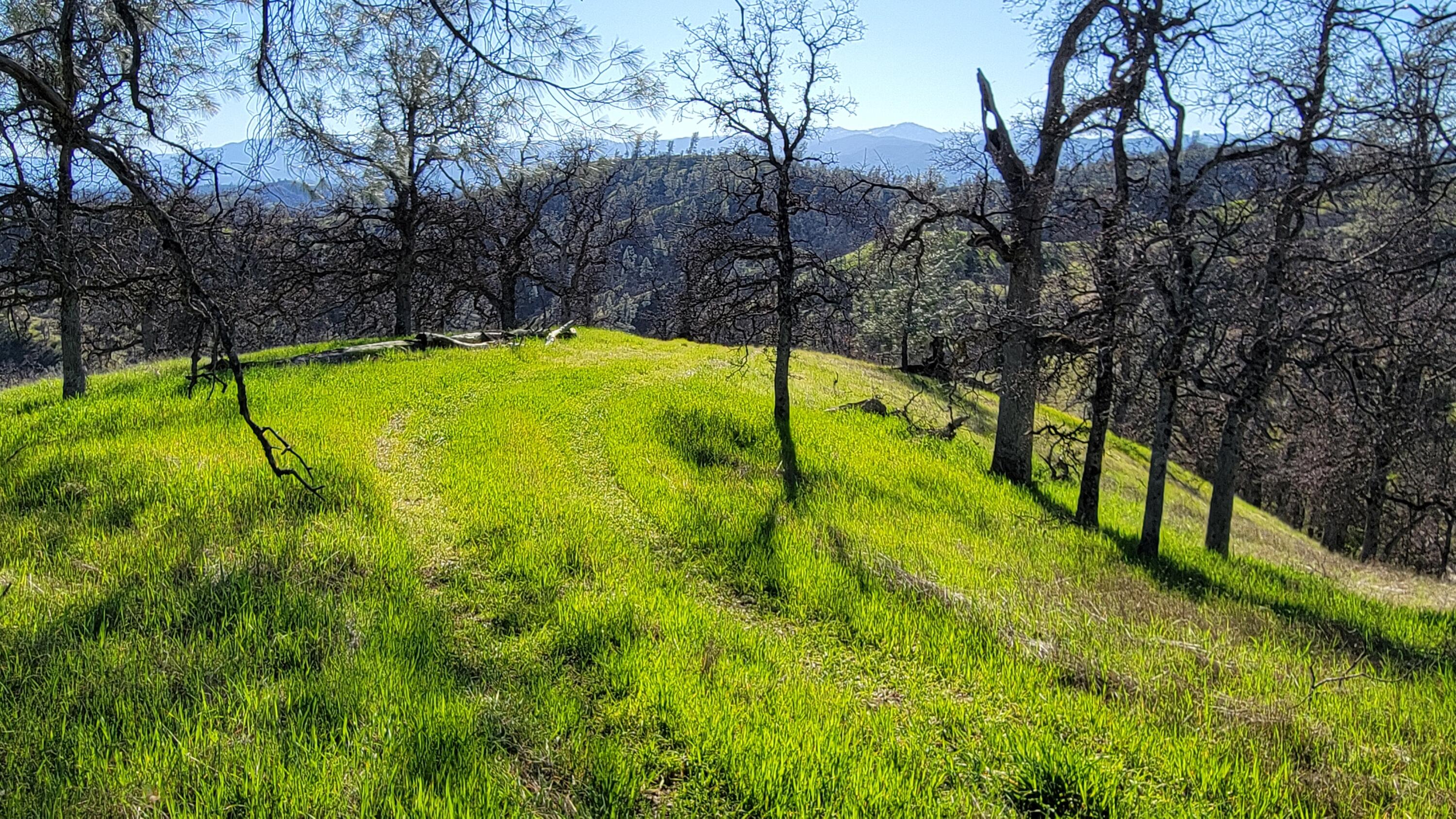 Lot 207 Fiddlers Road Igo, CA 96047 - Photo 22 of 23 20260204_143705