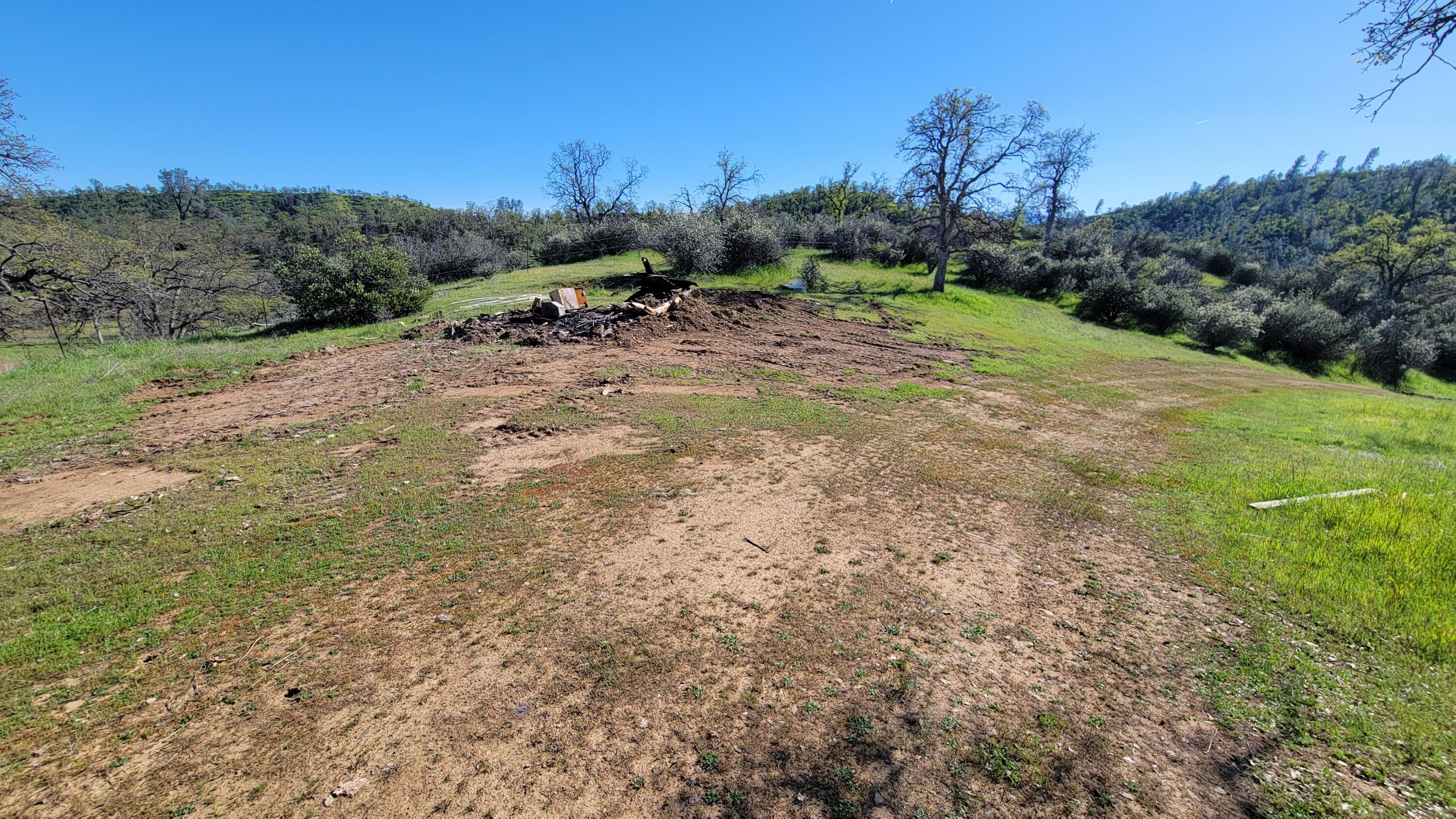 Lot 207 Fiddlers Road Igo, CA 96047 - Photo 22 of 26 a view of a dry yard with trees in the background
