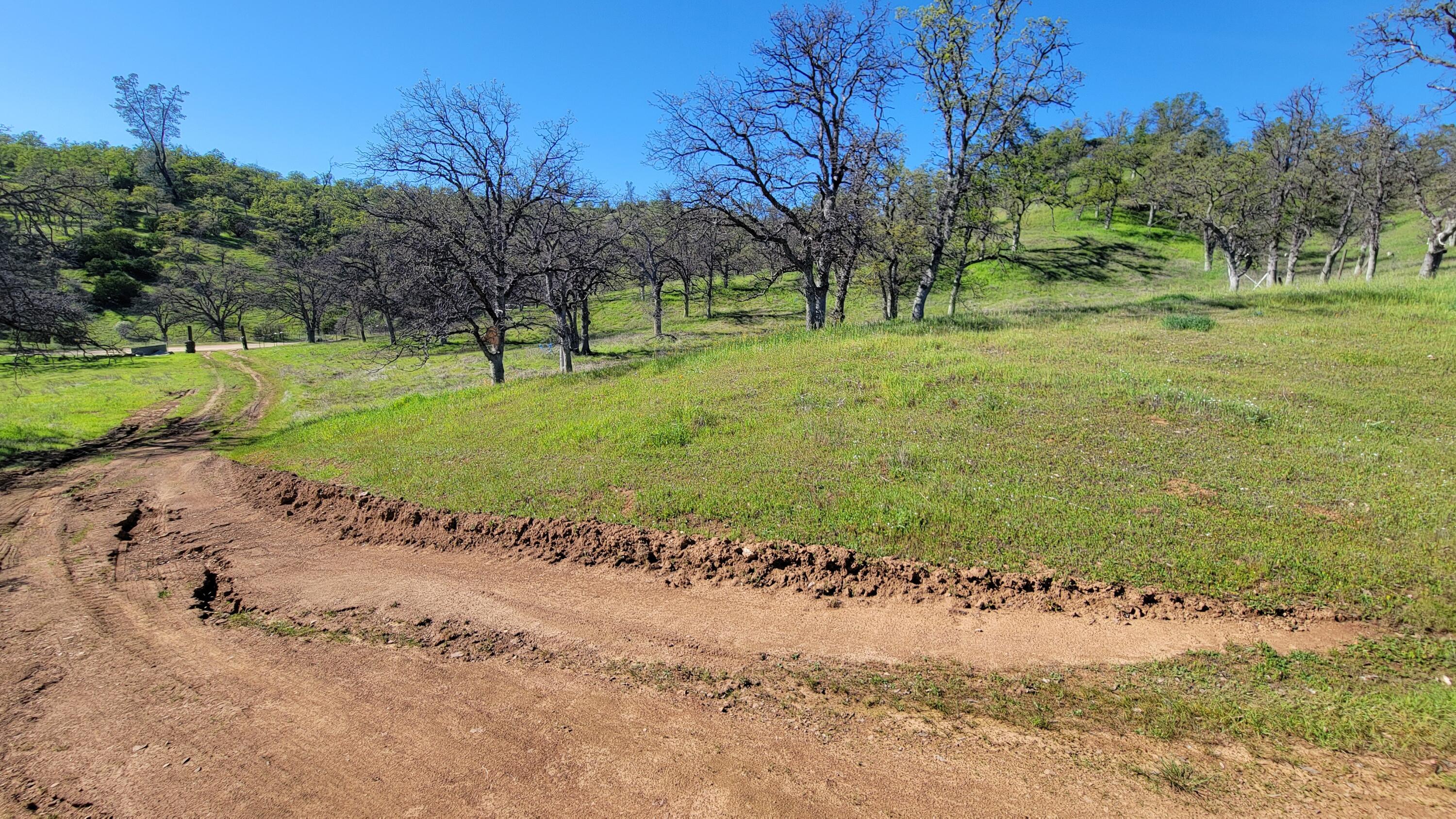 Lot 207 Fiddlers Road Igo, CA 96047 - Photo 24 of 26 a view of a park with large trees