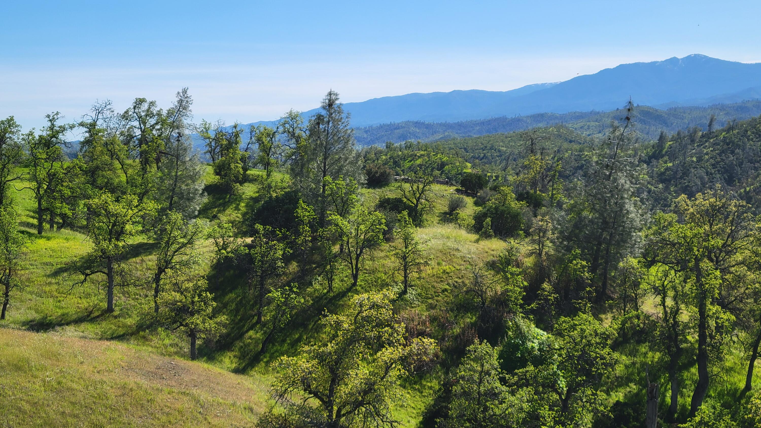 Lot 207 Fiddlers Road Igo, CA 96047 - Photo 7 of 26 a view of a lush green hillside and a building in the background