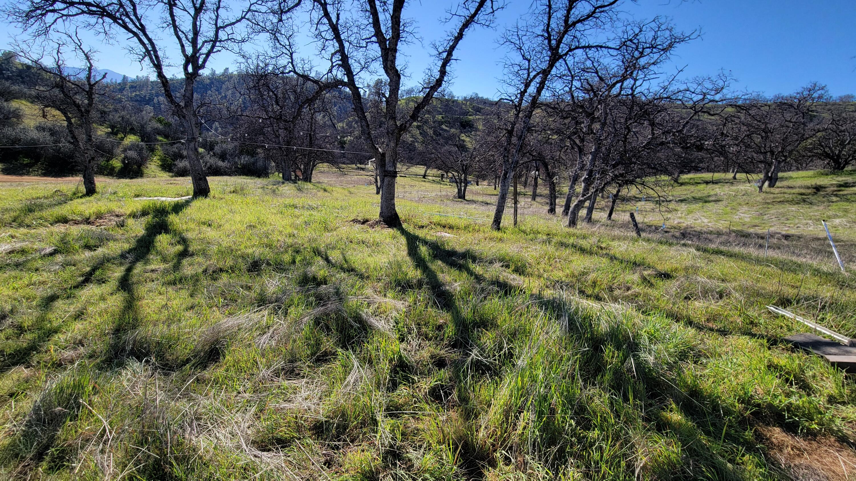 Lot 207 Fiddlers Road Igo, CA 96047 - Photo 9 of 23 20260204_141420