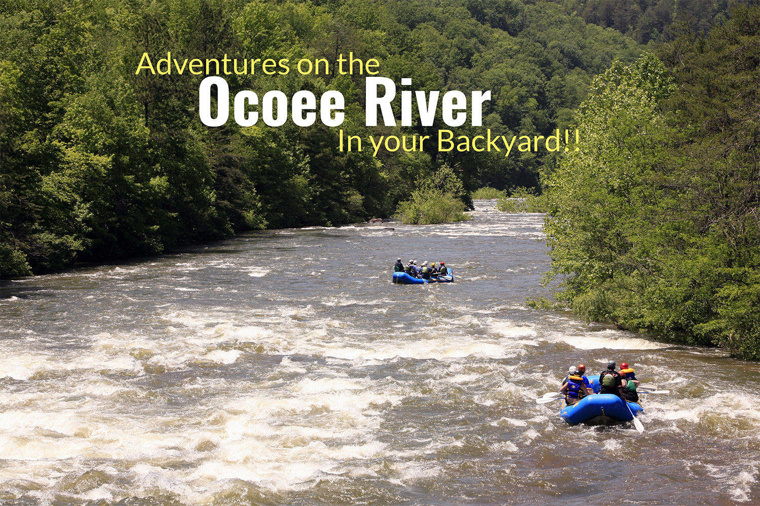 625 Lebanon Road Northeast Cleveland, TN 37323 - Photo 3 of 4 Ocee River In your backyard