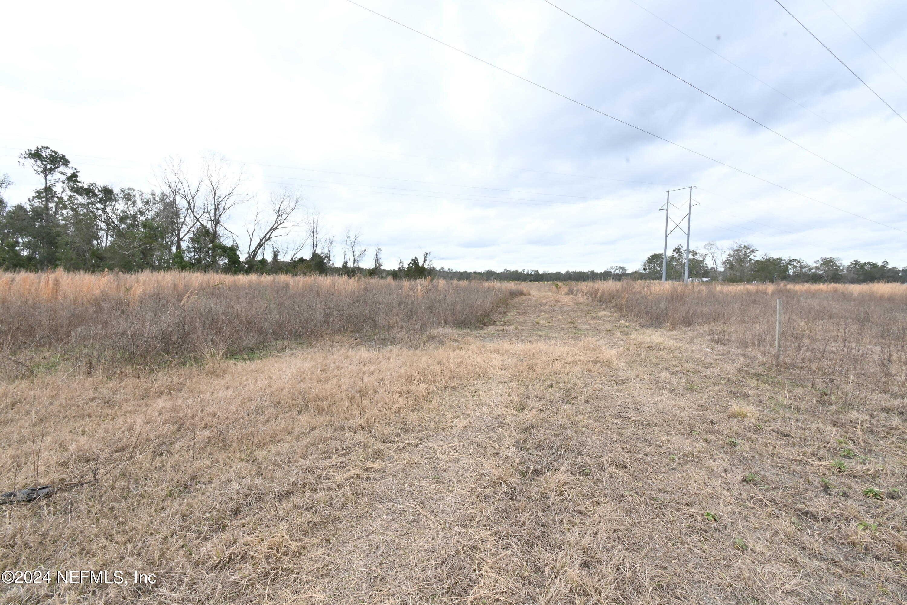 0 145th Road Live Oak, FL 32060 - Photo 4 of 12 DSC_1271