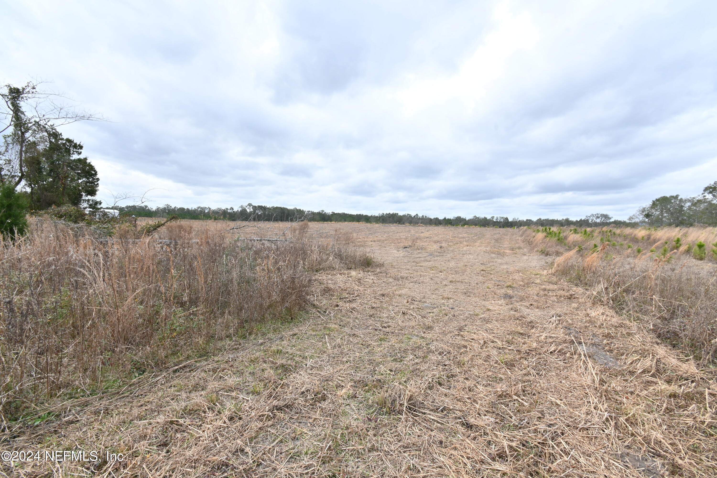 0 145th Road Live Oak, FL 32060 - Photo 5 of 12 DSC_1243