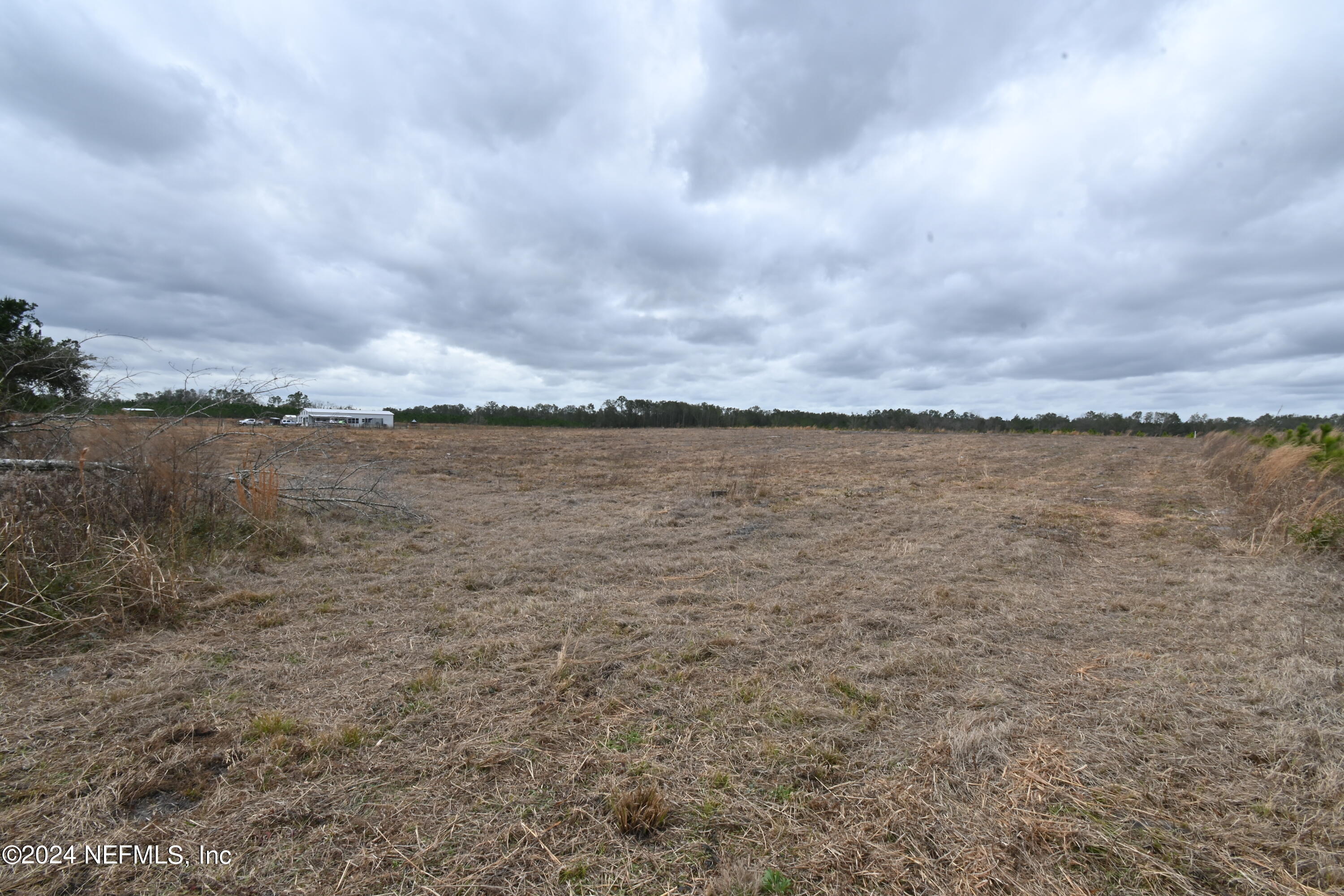 0 145th Road Live Oak, FL 32060 - Photo 6 of 12 DSC_1246
