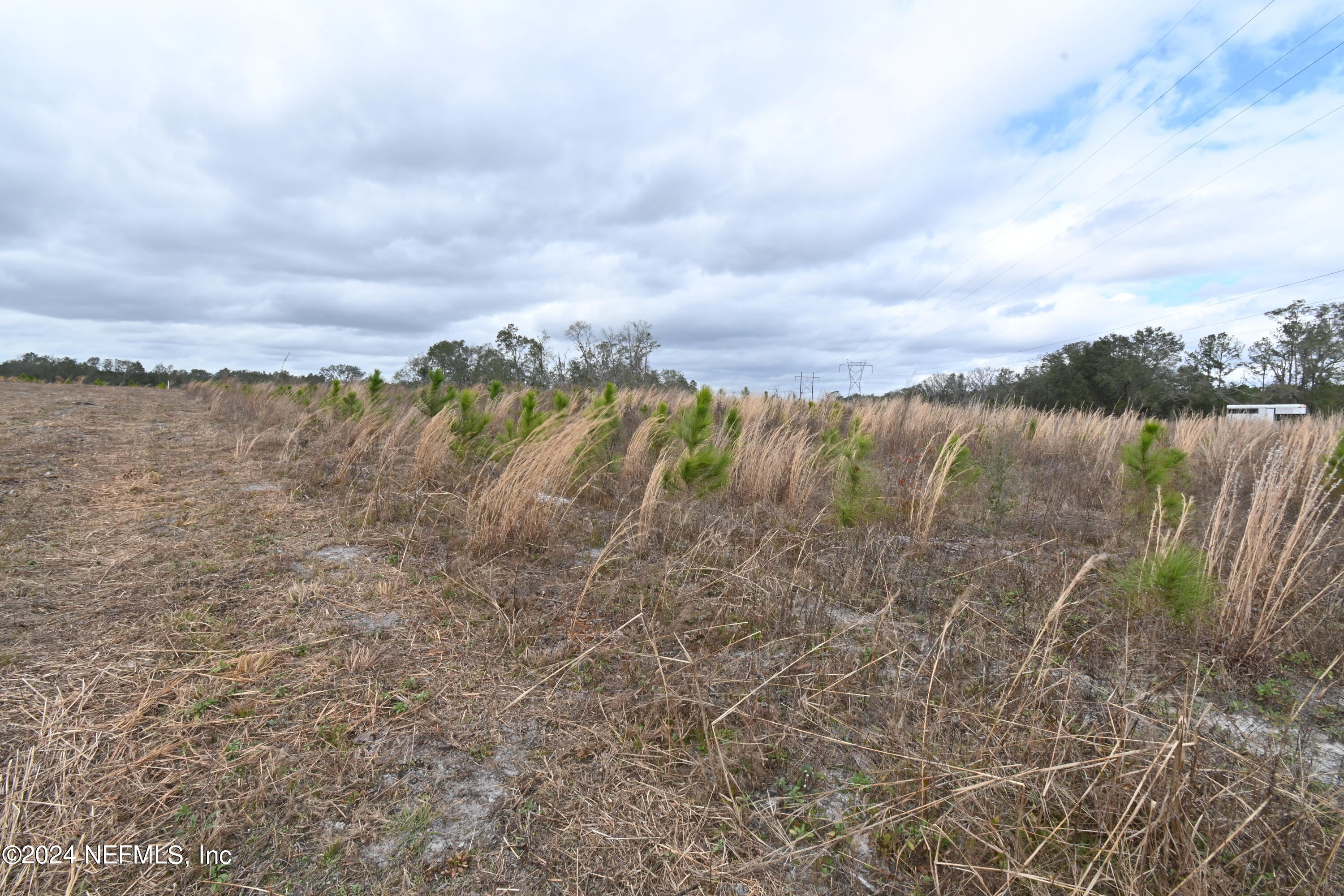0 145th Road Live Oak, FL 32060 - Photo 7 of 12 DSC_1249