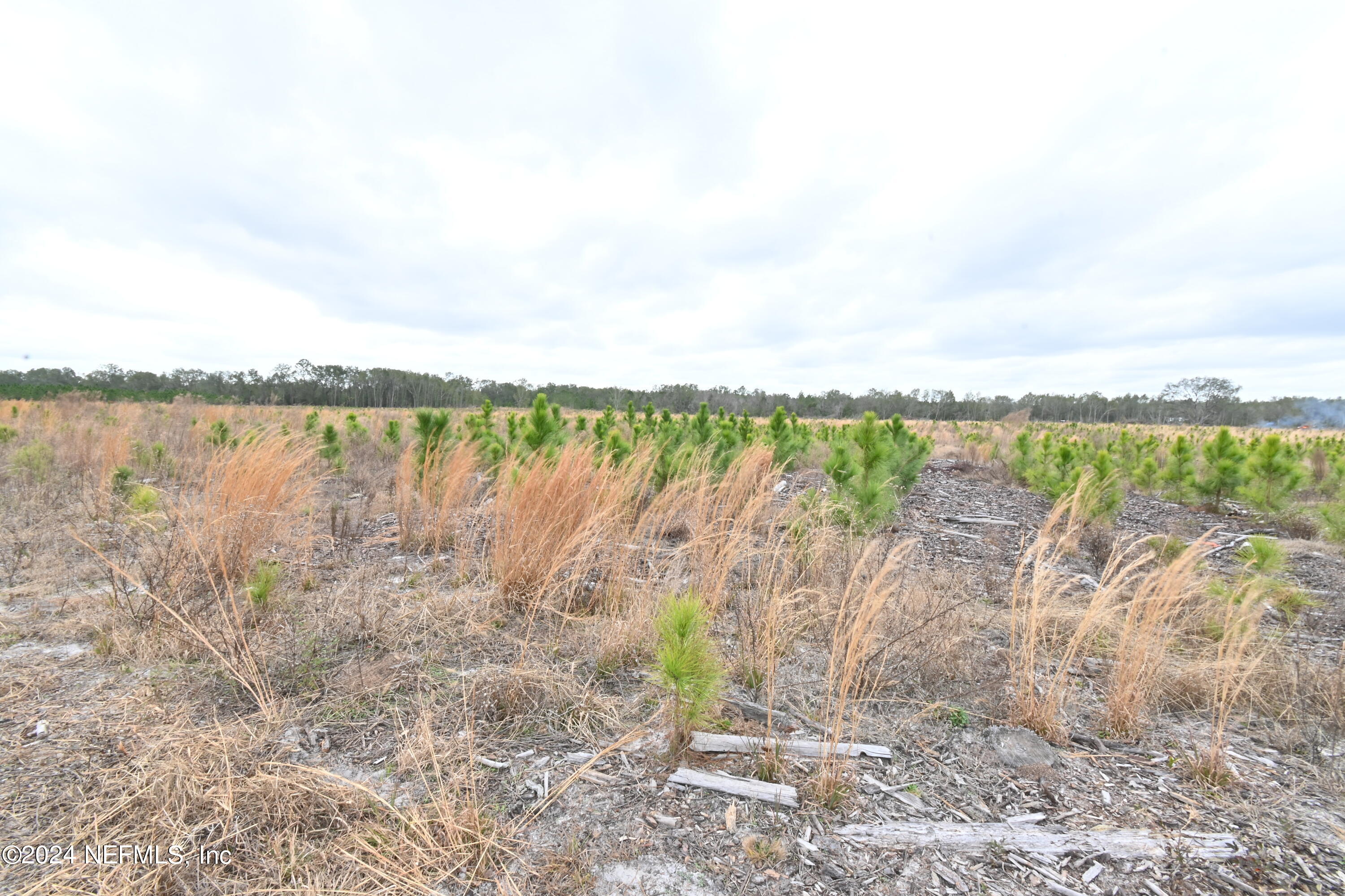 0 145th Road Live Oak, FL 32060 - Photo 9 of 12 DSC_1257