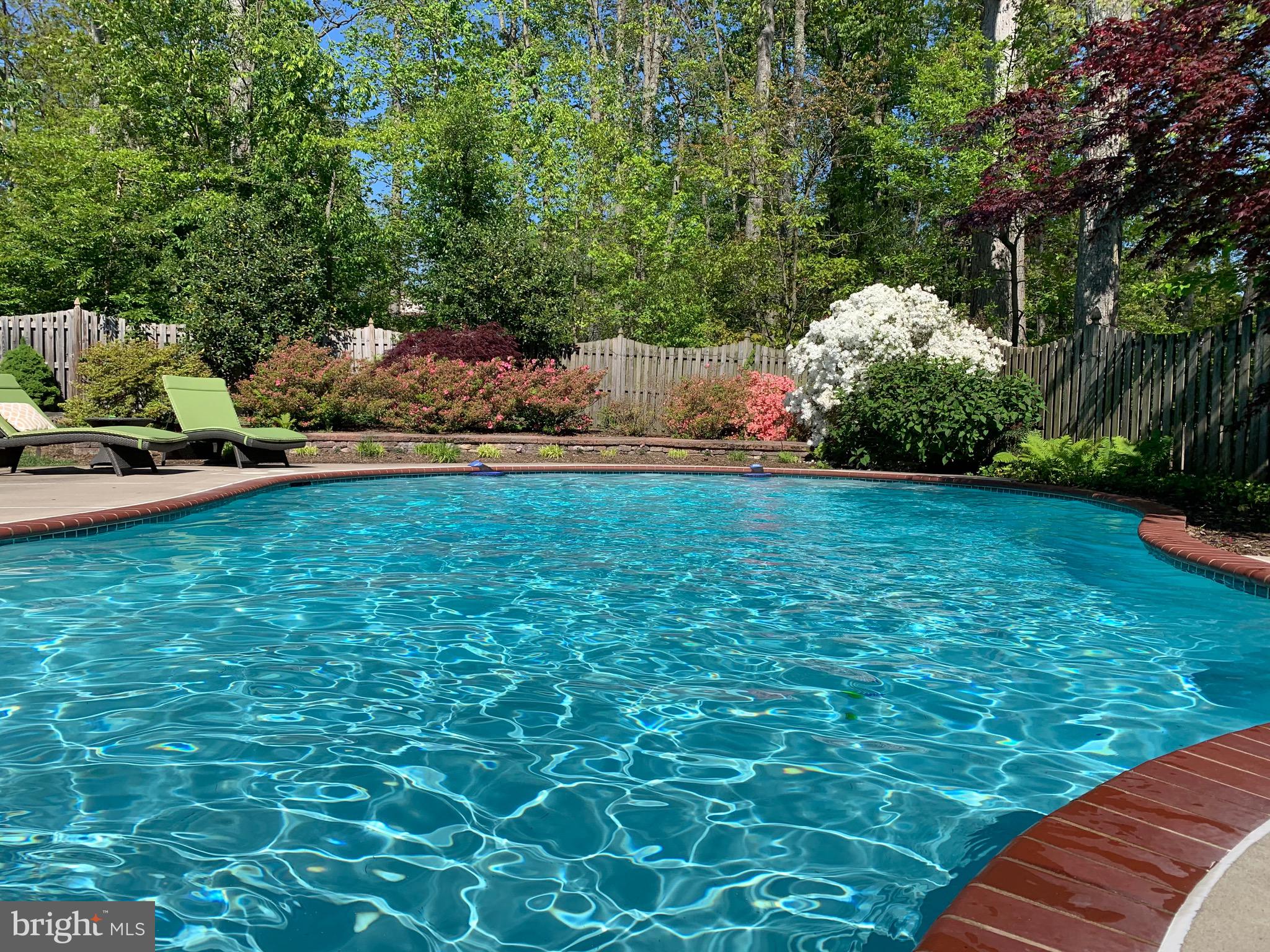 11809 Wayland Street Oakton, VA 22124 - Photo 93 of 97 a view of a backyard with plants and large trees