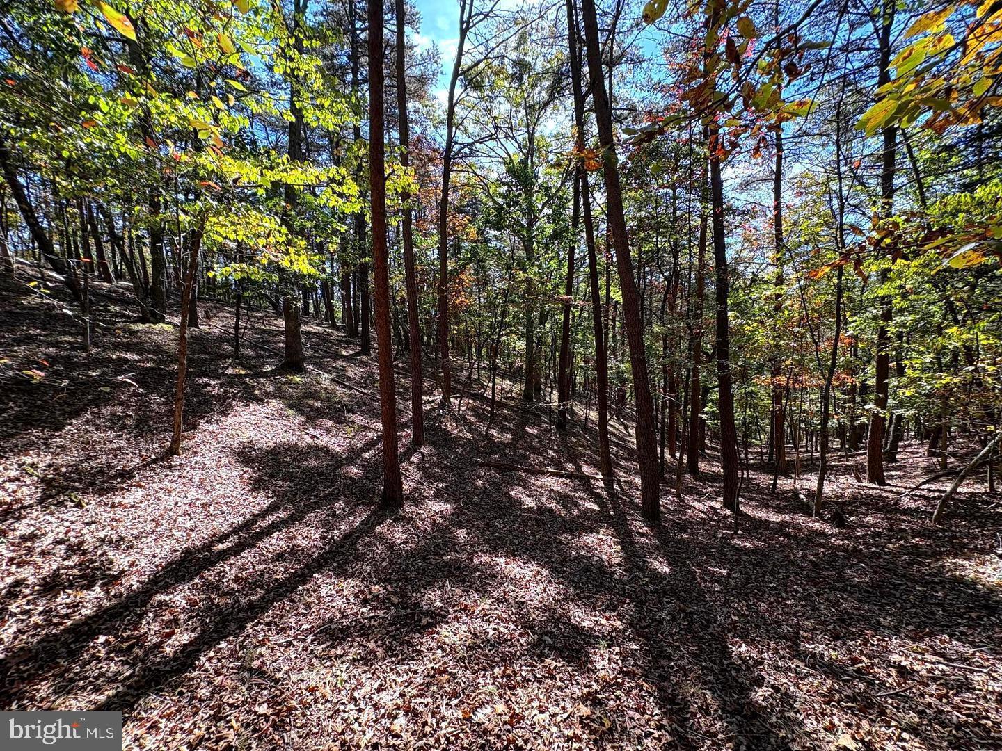 7313 Little Cacapon Road Romney, WV 26757 - Photo 33 of 38