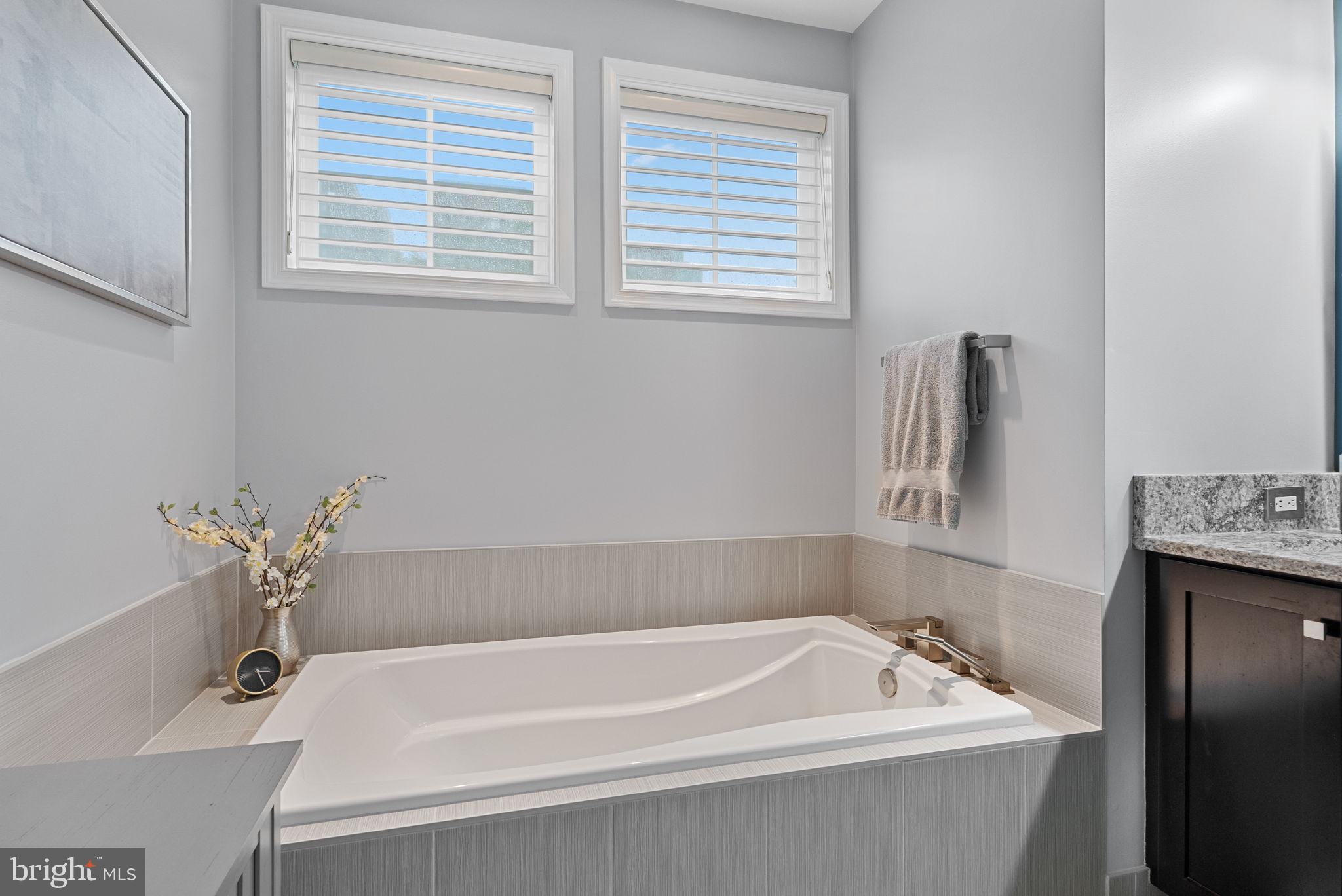 1418 North Rhodes Street, Unit B423 Arlington, VA 22209 - Photo 18 of 36 Soaking tub in newly renovated primary bathroom