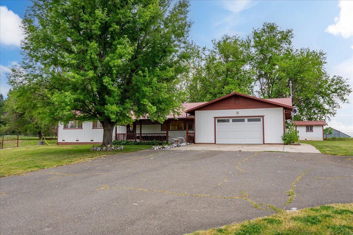 a view of a house with a yard and large tree