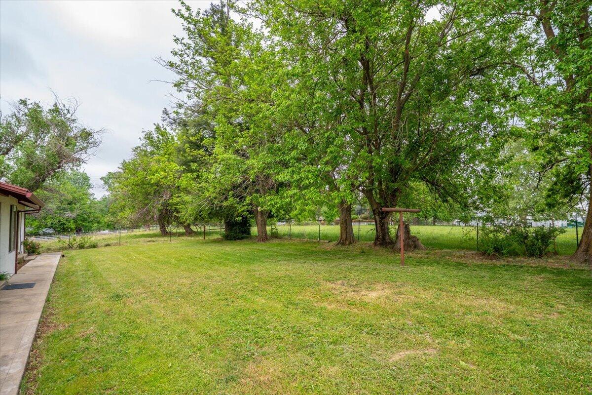 5210 Balls Ferry Road Anderson, CA 96007 - Photo 29 of 68 a view of a trees in a yard
