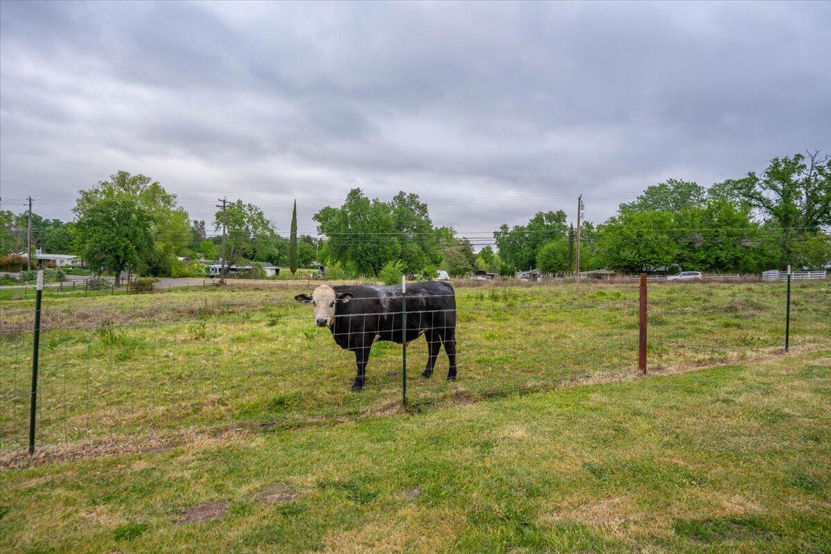 5210 Balls Ferry Road Anderson, CA 96007 - Photo 44 of 68 a view of a lake with a yard