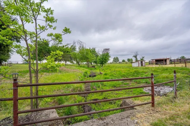 a view of a park with large trees