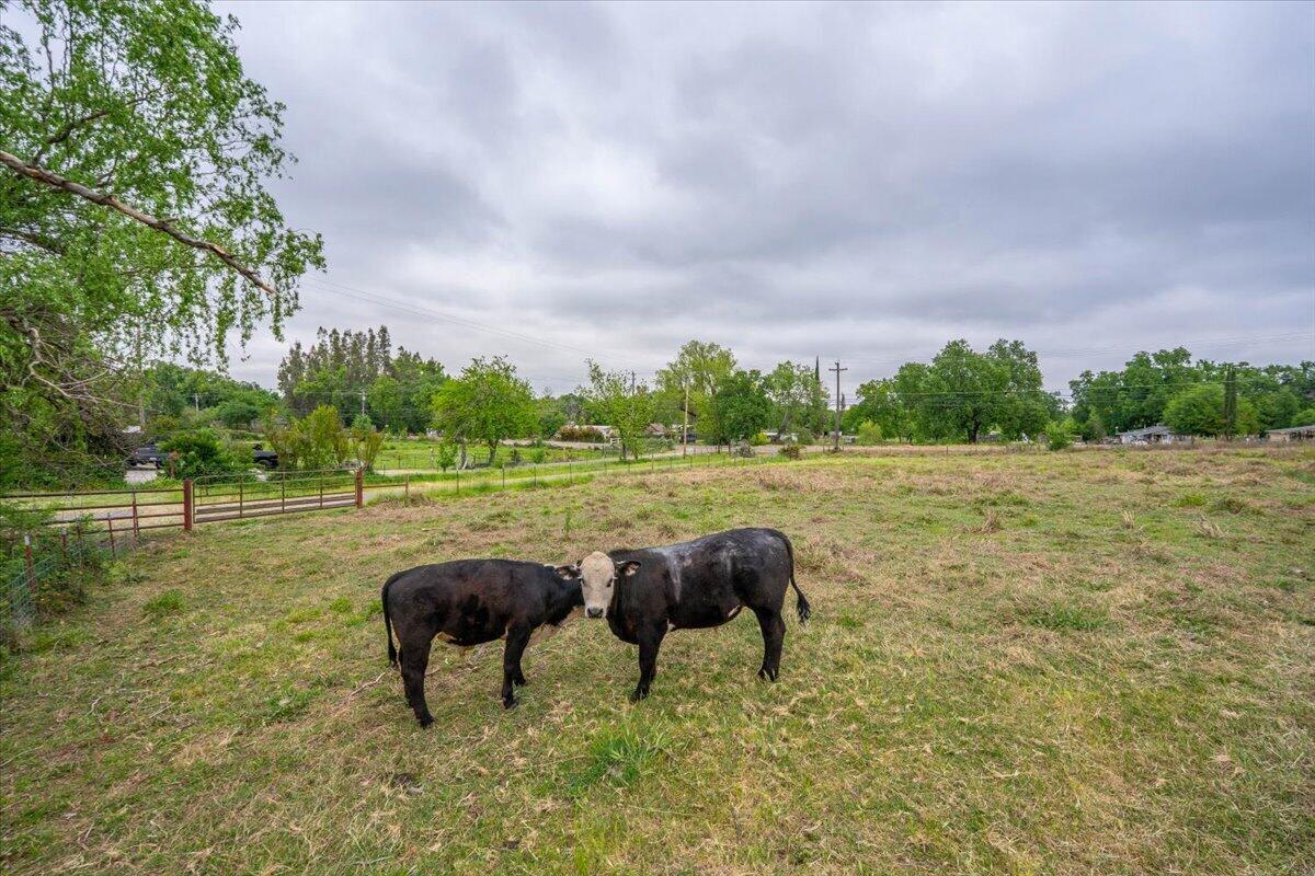 5210 Balls Ferry Road Anderson, CA 96007 - Photo 47 of 68 a view of yard with outdoor seating and green space