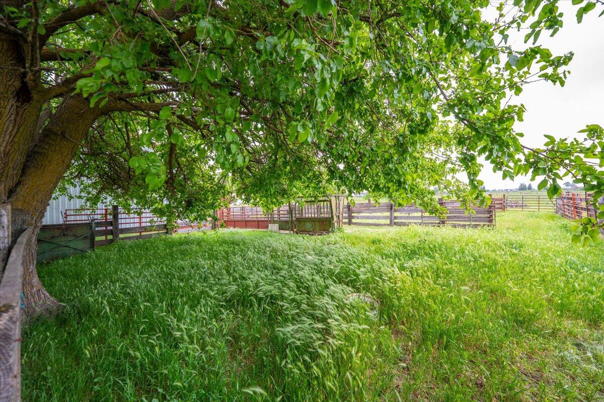 5210 Balls Ferry Road Anderson, CA 96007 - Photo 50 of 68 54-5210 Balls Ferry Rd - E-18