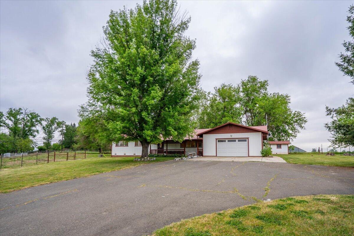 5210 Balls Ferry Road Anderson, CA 96007 - Photo 52 of 68 a house with a yard and a large tree