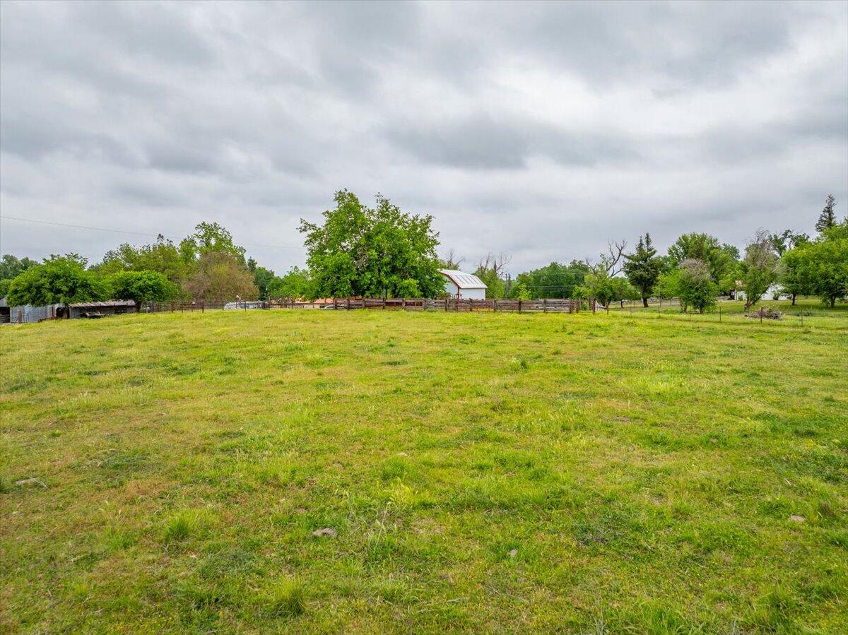 5210 Balls Ferry Road Anderson, CA 96007 - Photo 67 of 68 a view of a big yard with plants and large trees