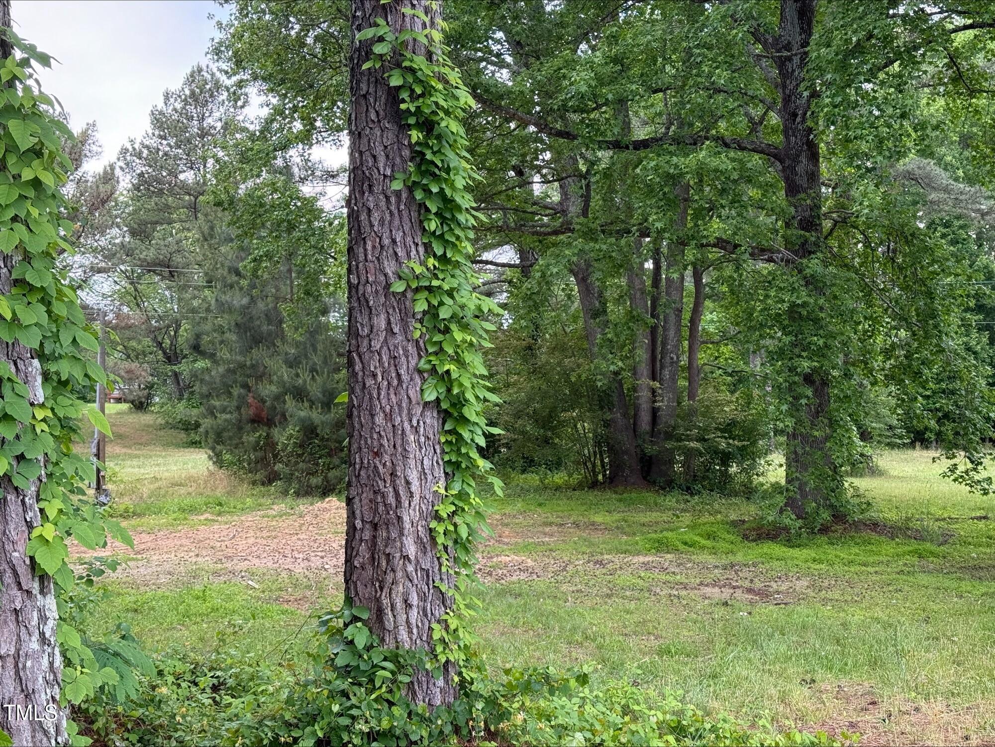63 Mount Olivet Church Road Franklinton, NC 27525 - Photo 9 of 12 processed-DA82957D-DD4F-4342-BEEF-3935CA
