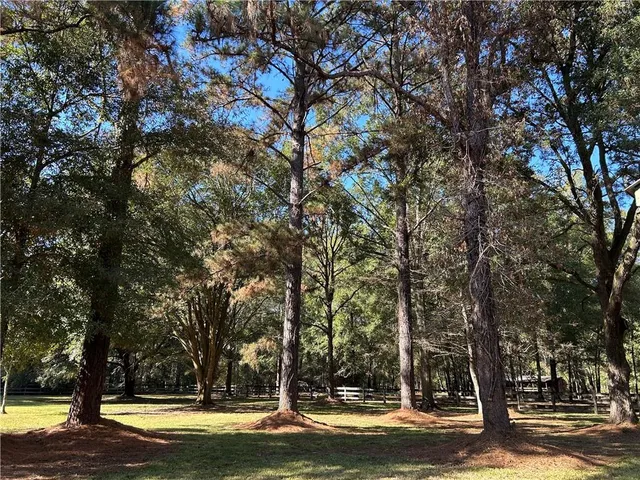 $1,500 | Undisclosed Address, Covington, LA 70435