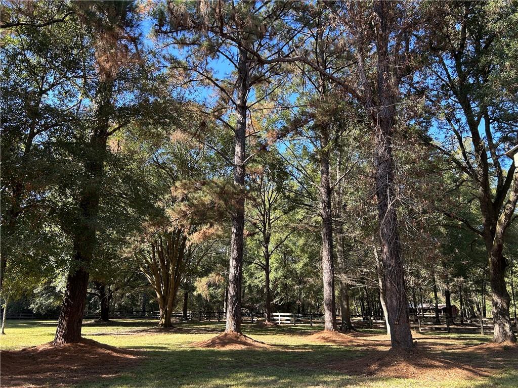 15051 Green Acres Drive Covington, LA 70435 - Photo 19 of 19