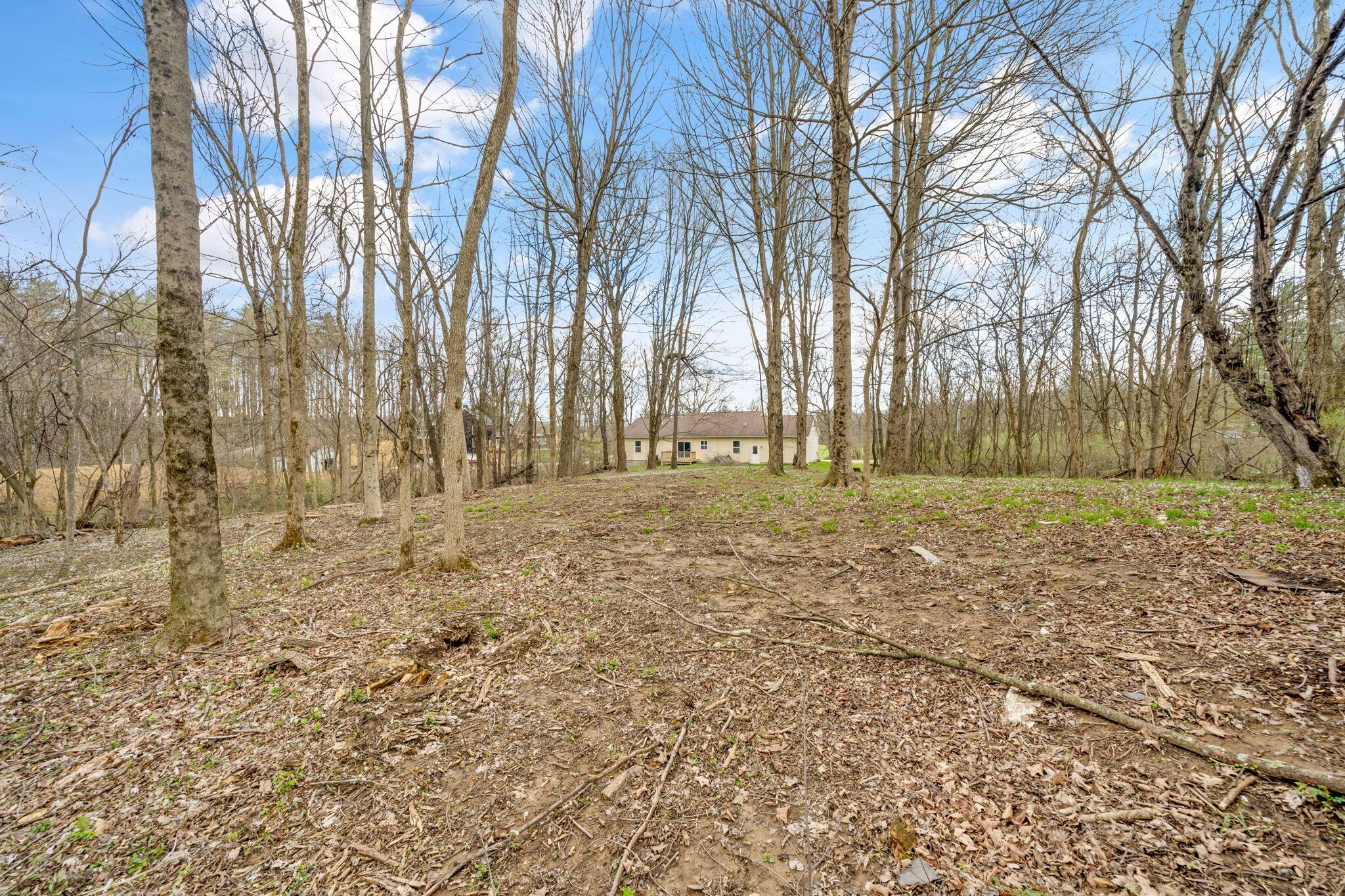 5211 Raccoon Run Road Johnstown, OH 43031 - Photo 48 of 65 66-web-or-mls-DSC07430 - Copy - Copy