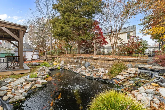 a view of a yard with plants and large trees