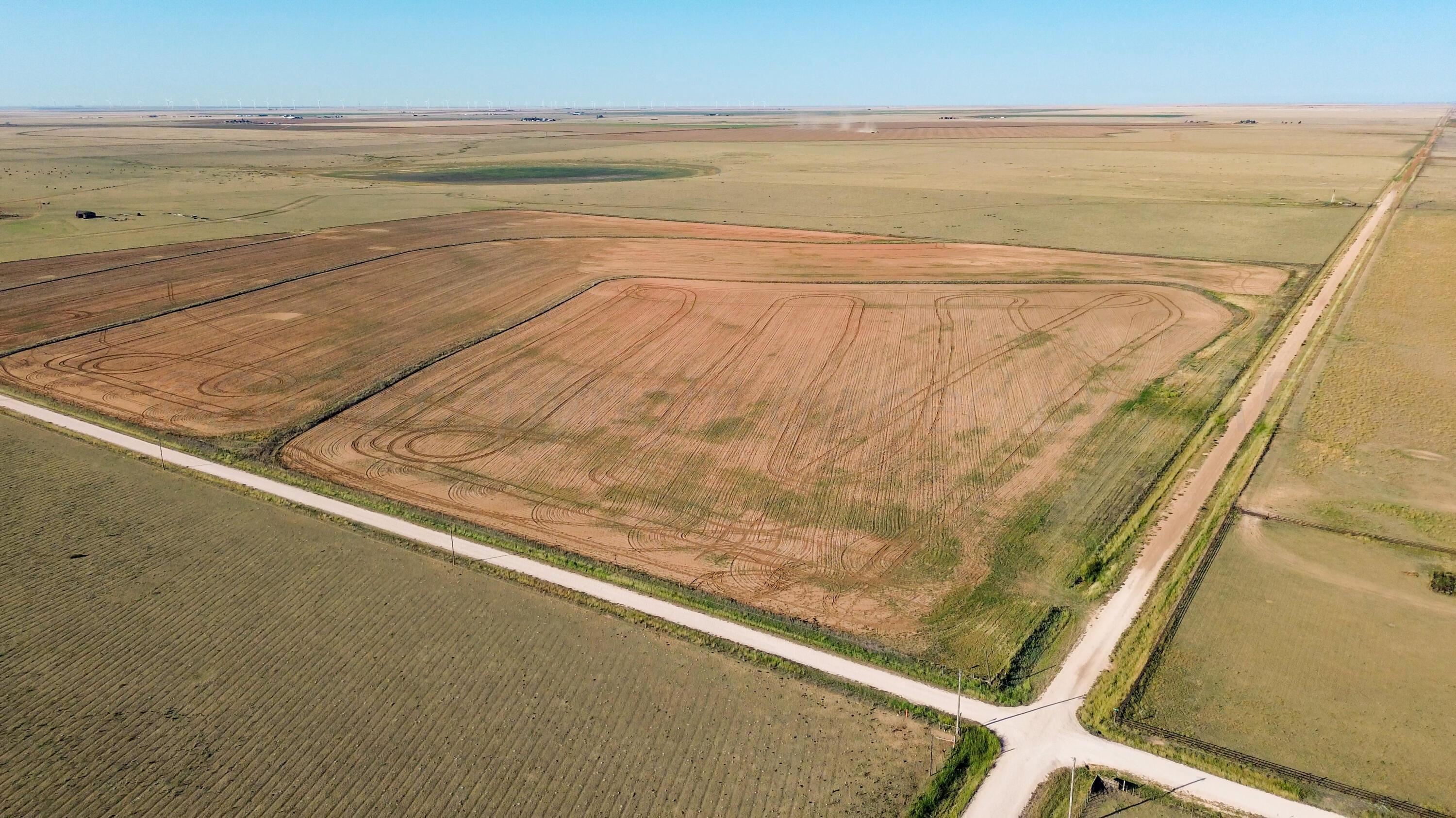 100 Acres Canyon Happy, TX 79042 - Photo 15 of 40