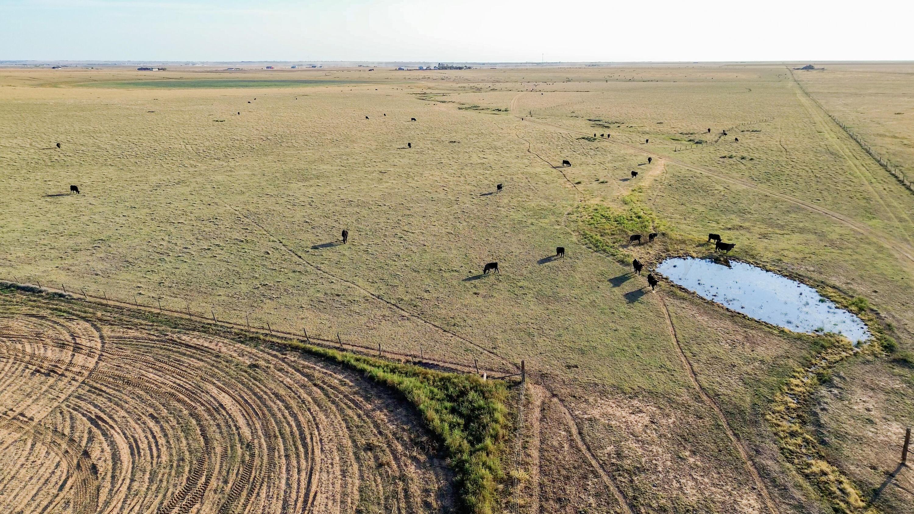 100 Acres Canyon Happy, TX 79042 - Photo 21 of 40 a view of an ocean beach