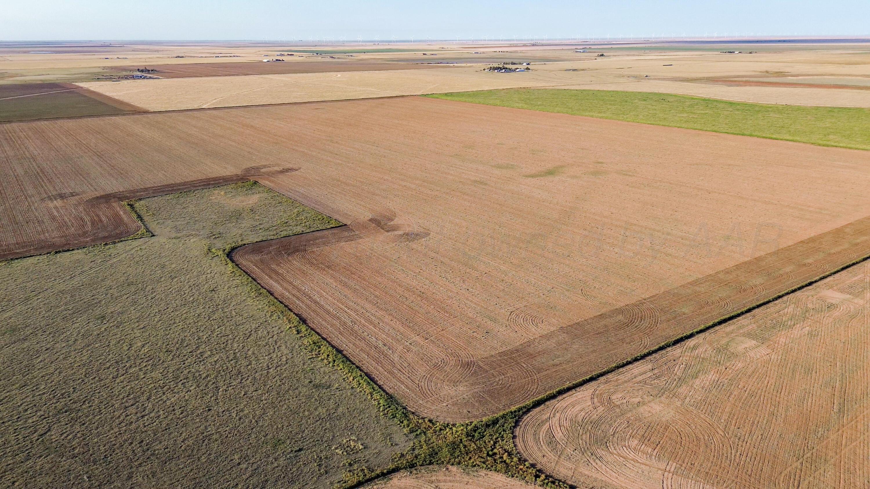 100 Acres Canyon Happy, TX 79042 - Photo 5 of 40