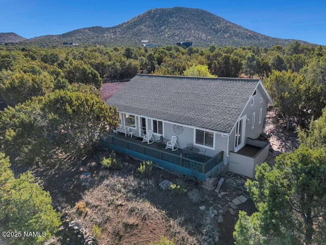 an aerial view of a house with a mountain