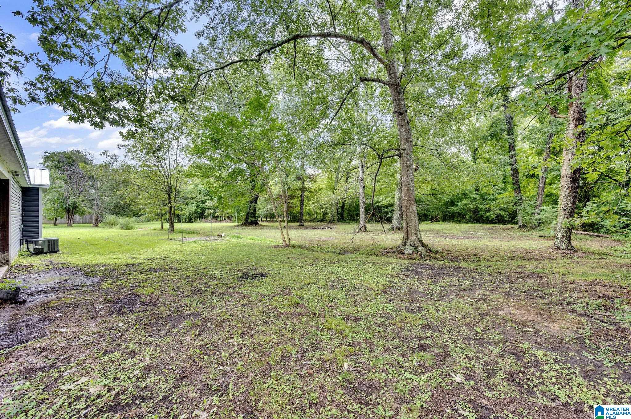 13596 Highway 11 Springville, AL 35146 - Photo 4 of 27