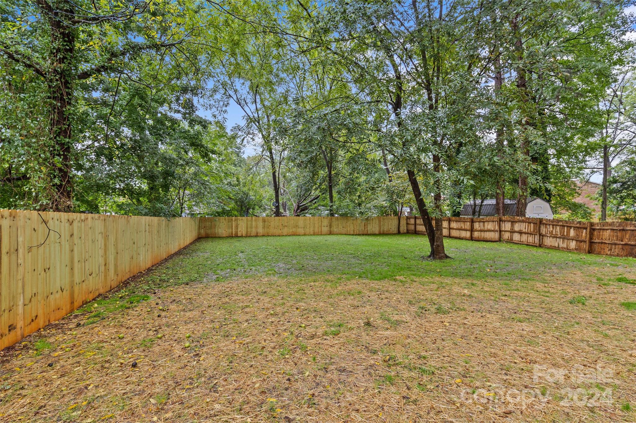 5745 Ruth Drive Charlotte, NC 28215 - Photo 39 of 42 a view of backyard with green space