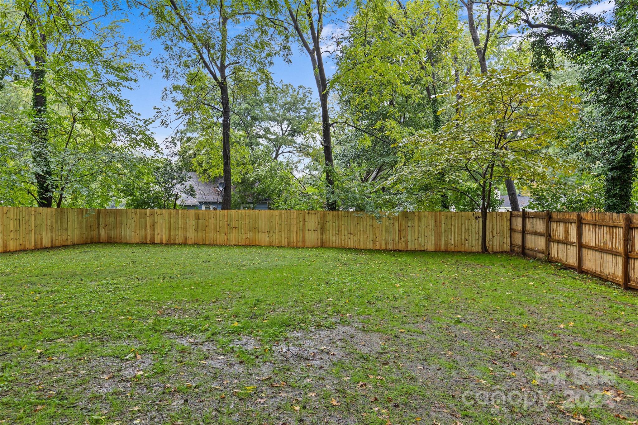 5745 Ruth Drive Charlotte, NC 28215 - Photo 40 of 42 a view of a yard with a tree