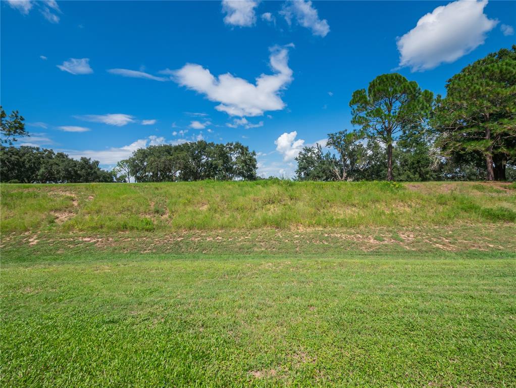 8416 Magnificent Road Groveland, FL 34736 - Photo 28 of 28 a view of a big yard with lots of green space