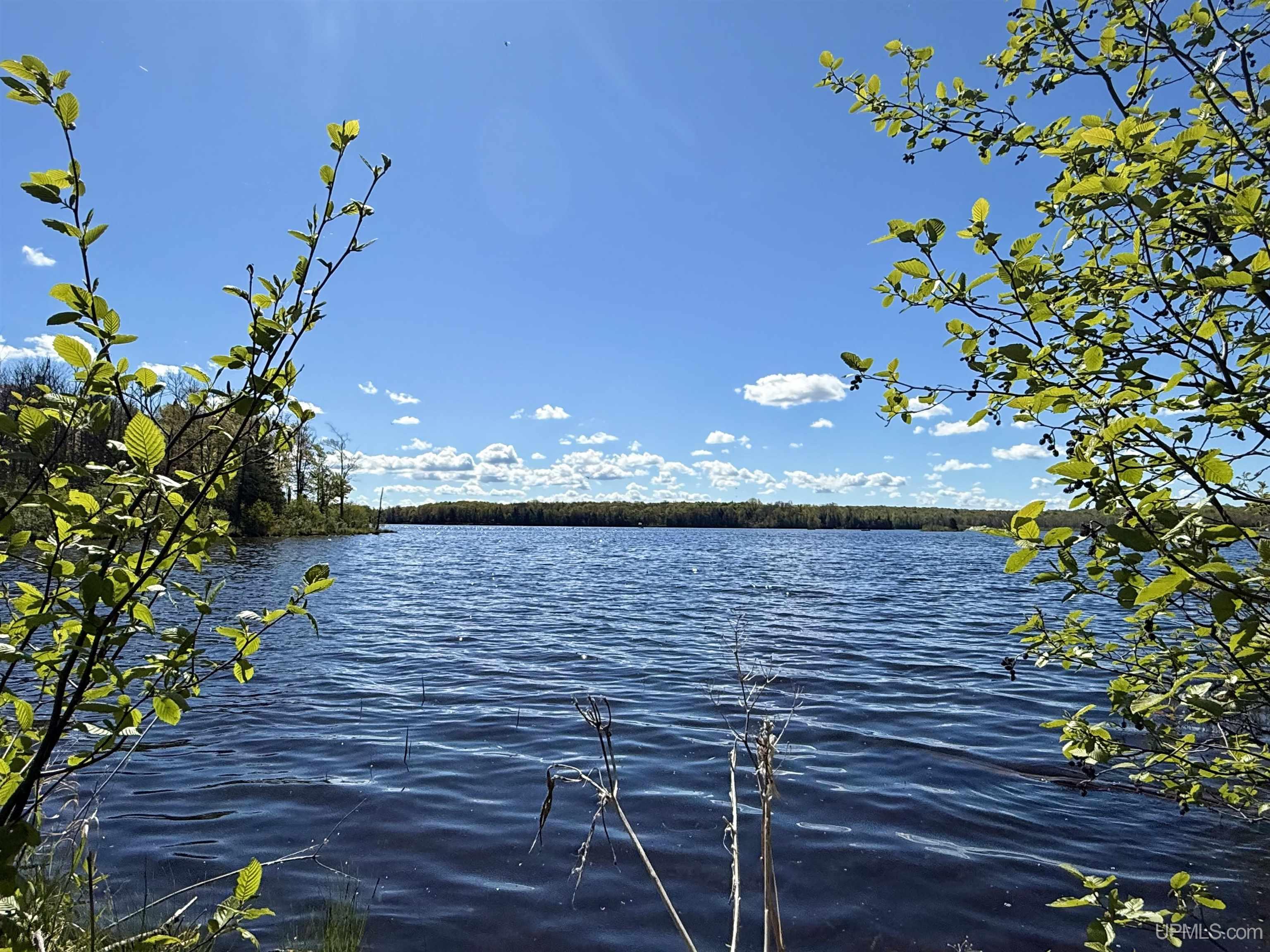 Langford Lake Road Watersmeet, MI 49969 - Photo 1 of 23