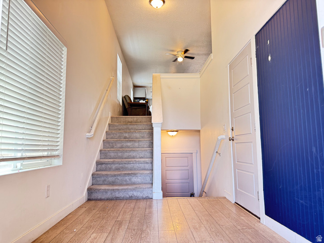 7687 West Mount Elinor Road Magna, UT 84044 - Photo 8 of 43