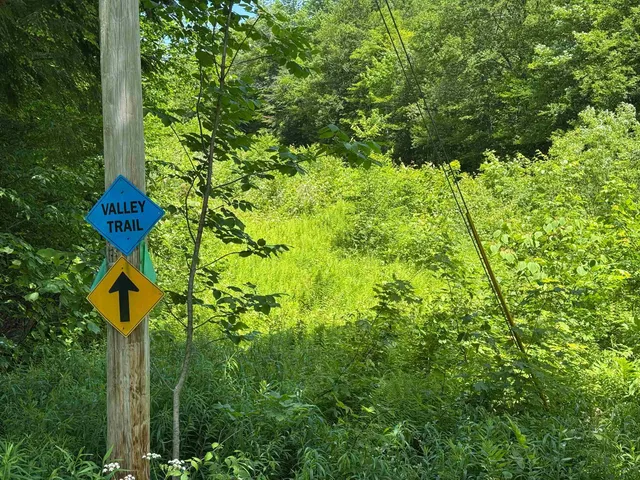 $235,000 | 394 Haystack Road, Unit 2, Wilmington, VT 05363