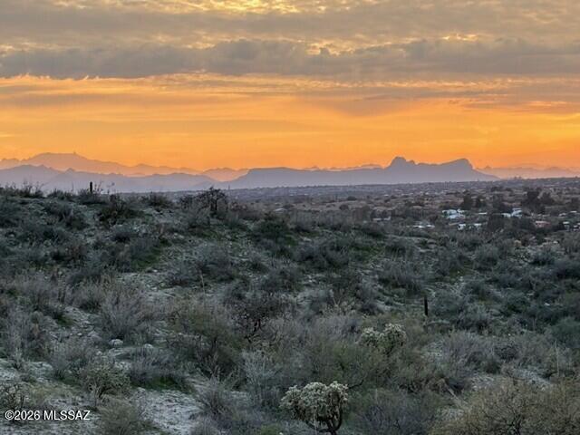 Nine East Rd Tucson Az 85750 Road Tucson, AZ 85739 - Photo 29 of 31