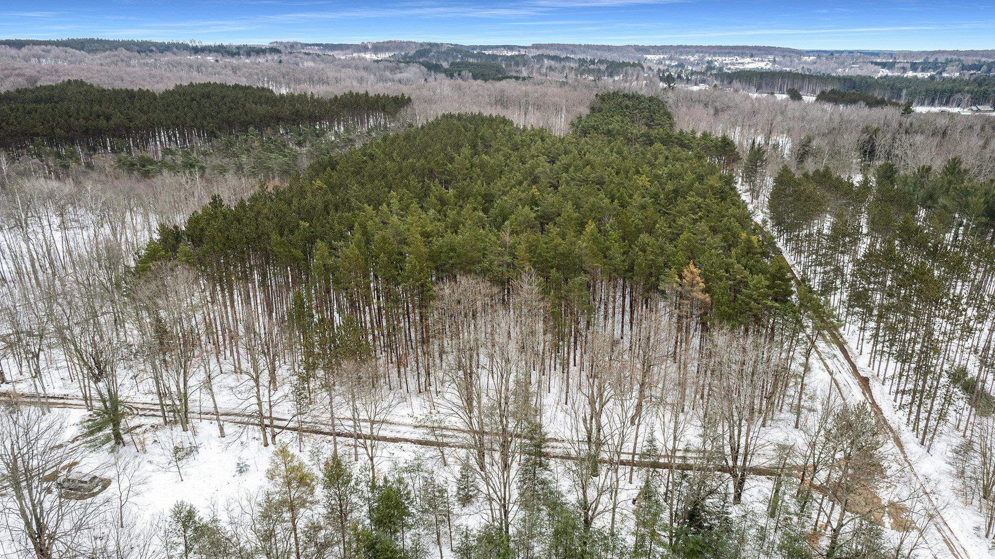 10 C Preston Road Northeast Kalkaska, MI 49646 - Photo 5 of 6