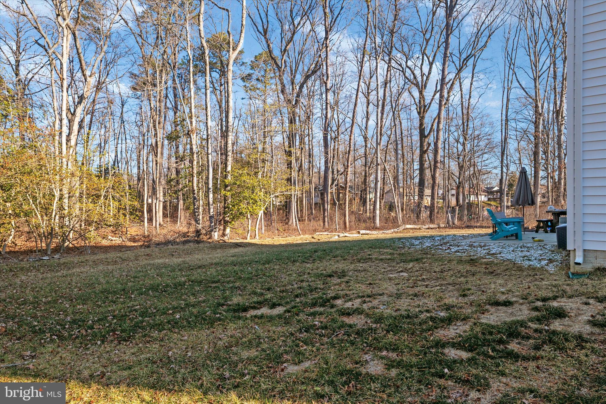720 Bridge Drive Pasadena, MD 21122 - Photo 42 of 46 a backyard of a house with lots of green space